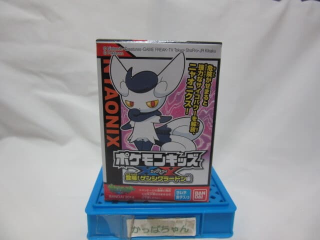 XY: It Enters! Primal Groudon Edition · Female