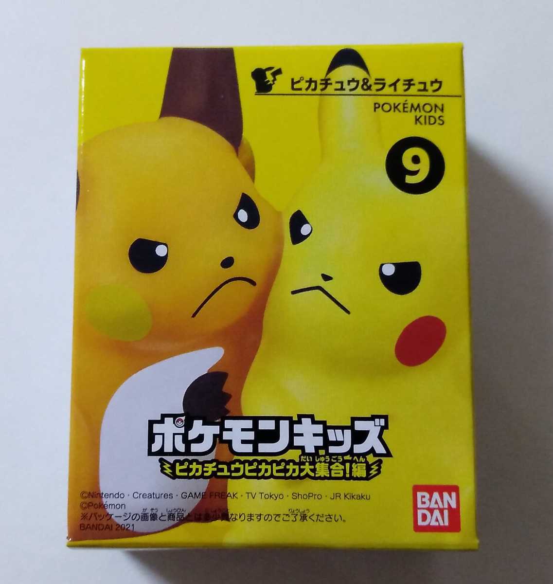 Pikachu Sparkling Gathering! Edition · Pikachu & Raichu
