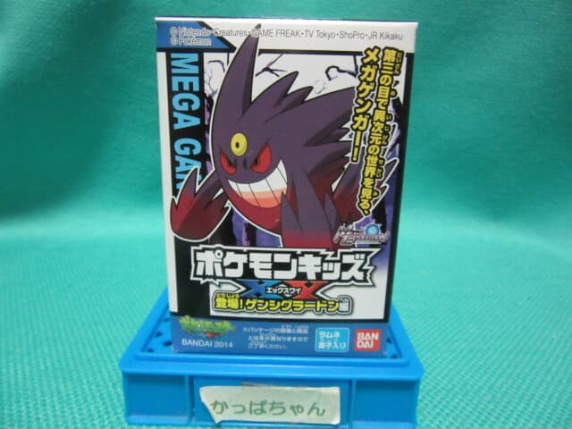 XY: It Enters! Primal Groudon Edition · Mega
