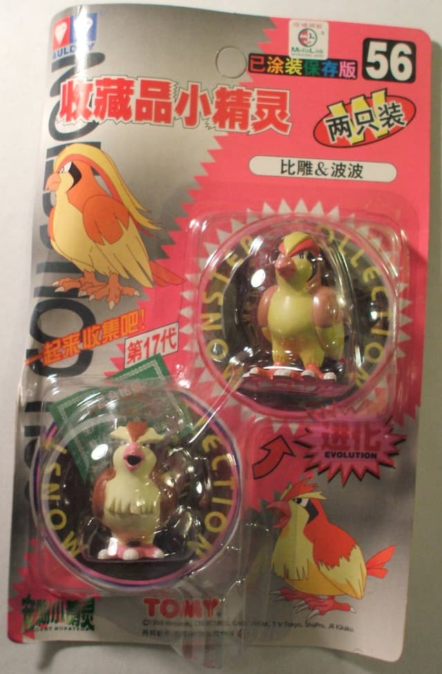 Pidgey Pidgey and Pidgeot