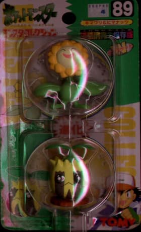 Sunflora and Sunkern
