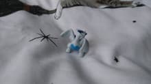 Lugia