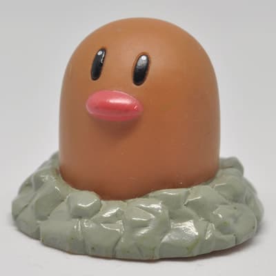 Diglett New Pokémon Kids 1