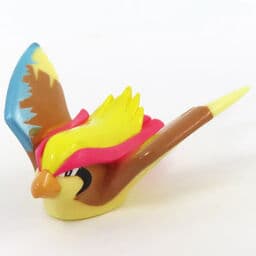 Pidgeot New Pokémon Kids 3