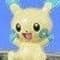 Minun Standard