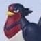 Swellow Standard