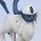 Absol Standard