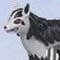 Mightyena Standard
