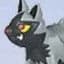 Poochyena Standard