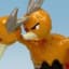 Dodrio Dodrio