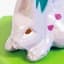 Nidoran♂