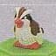 Pidgey Pidgey