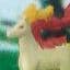 Rapidash
