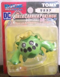 #331 Cacnea