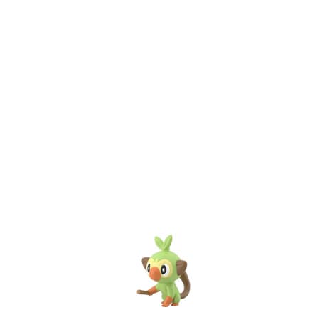 Grookey Entrenador: Gloria