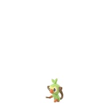 Grookey