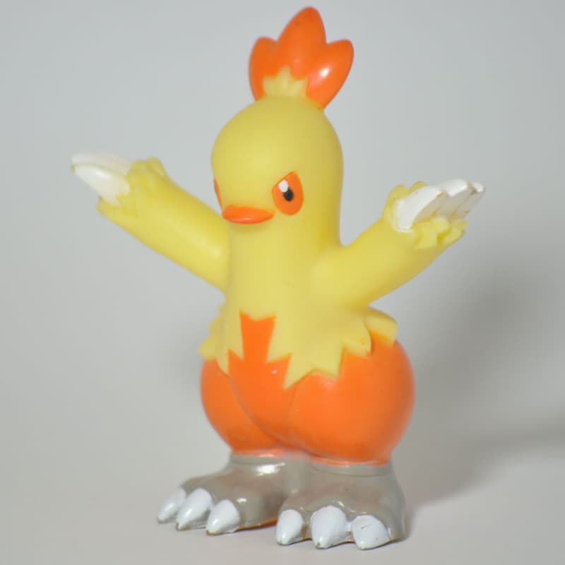 Combusken Pokémon Kids Advance 5
