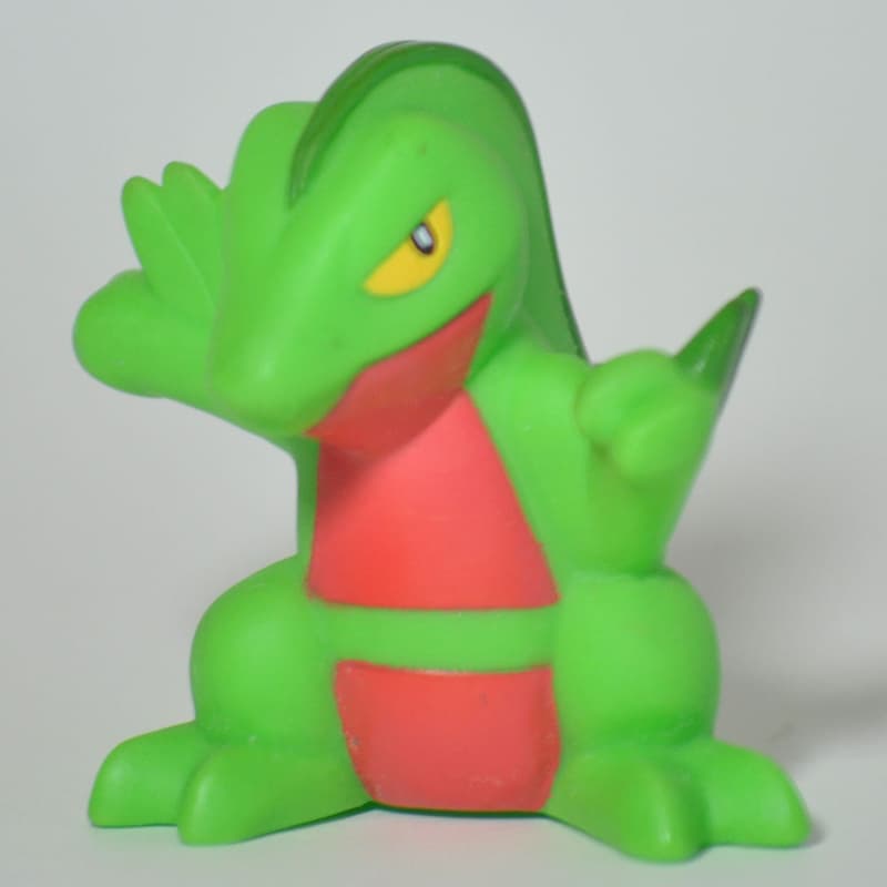 Grovyle Pokémon Kids Advance 3