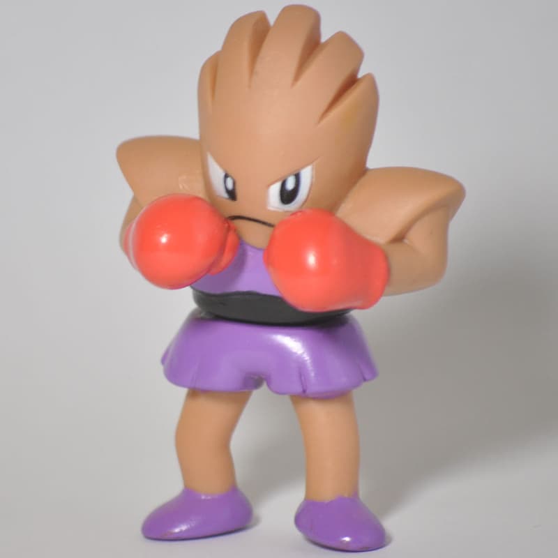 Hitmonchan New Pokémon Kids 4