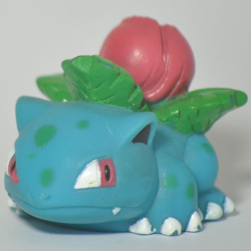 Ivysaur New Pokémon Kids 1
