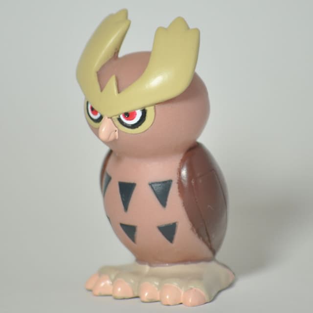 Noctowl