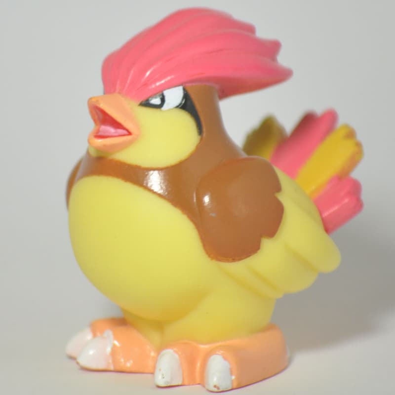 Pidgeotto Pokémon Kids Part 4