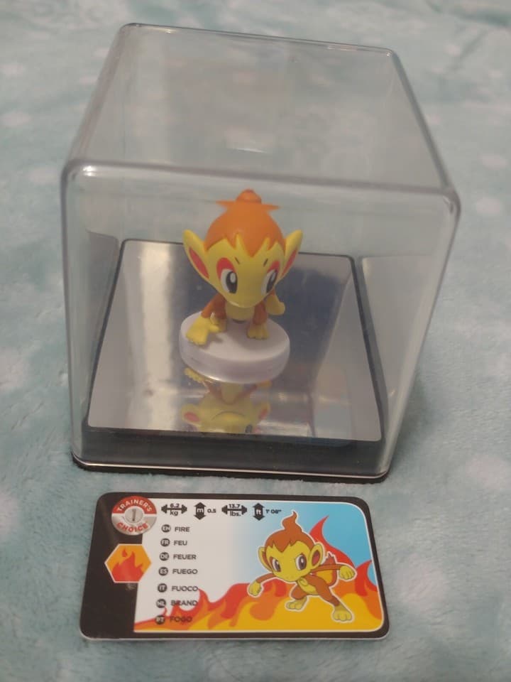 Chimchar Standard