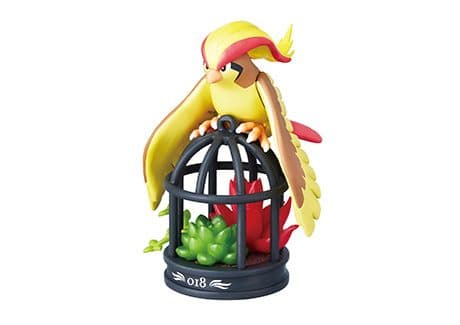 Pidgeot Standard
