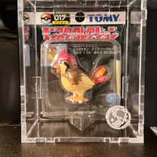 017 Pidgeotto