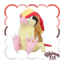 Pidgeot