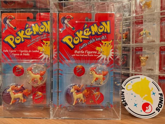 Ponyta +1