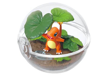 Charmander Standard