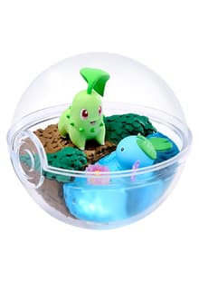 Chikorita