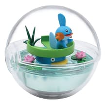 Mudkip