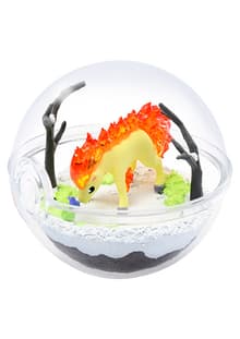 Ponyta