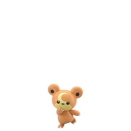 ヒメグマ Johto Region 2 Set