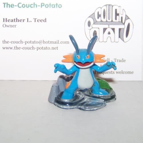 Swampert battle
