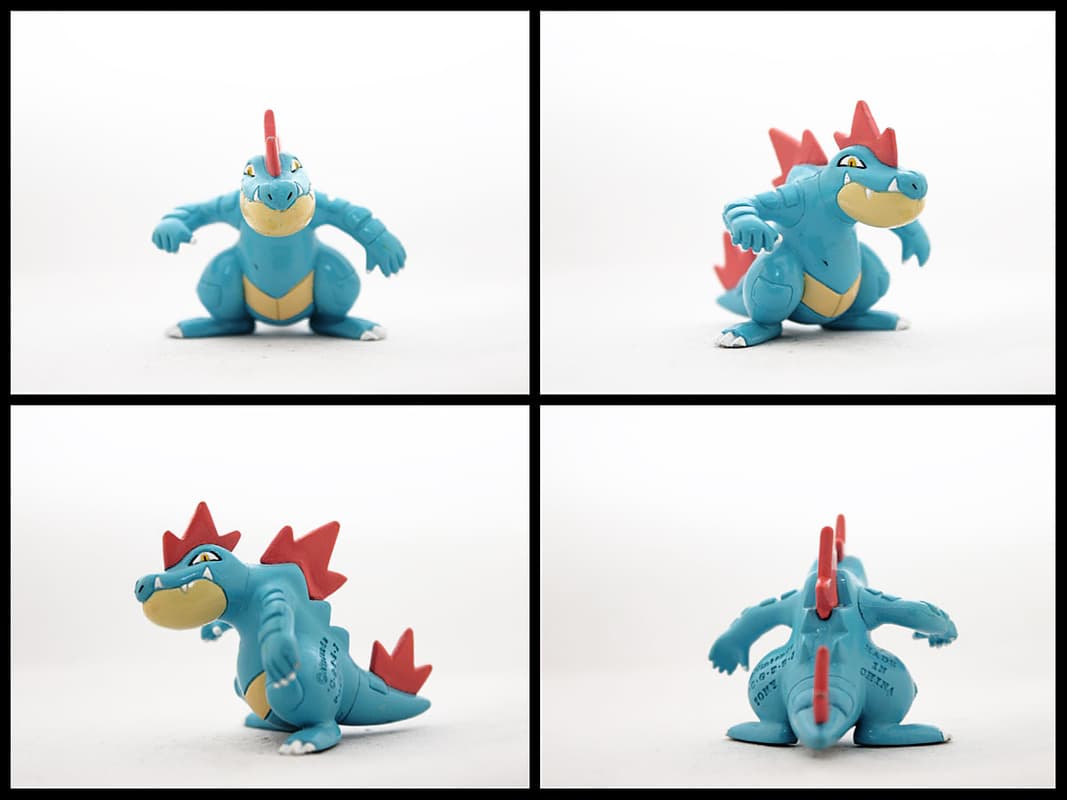 Feraligatr battle