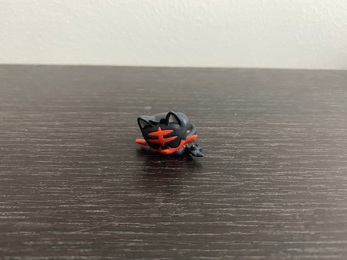 Litten battle