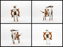 Arceus