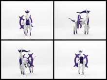 Arceus