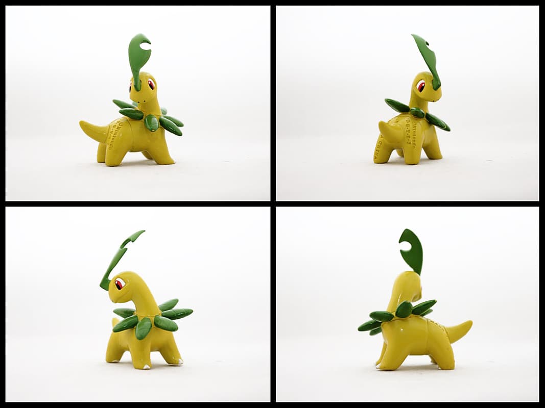 Bayleef Standard