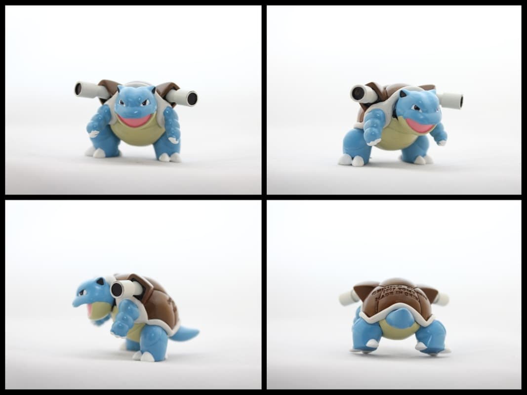 Blastoise Battle Pose