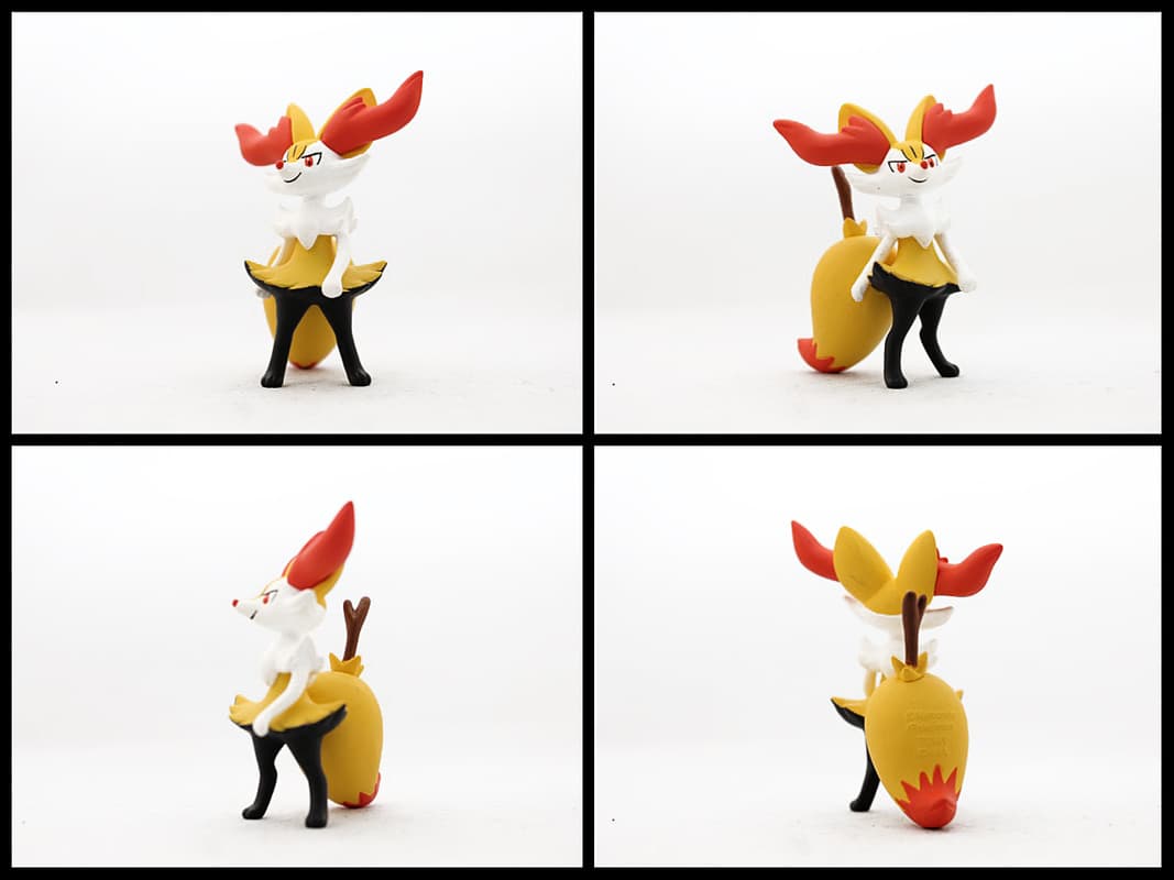 Braixen Standard