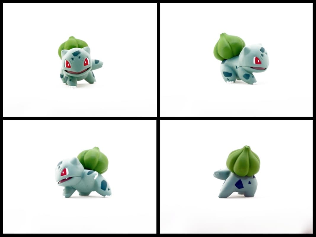 Bulbasaur Battle Pose