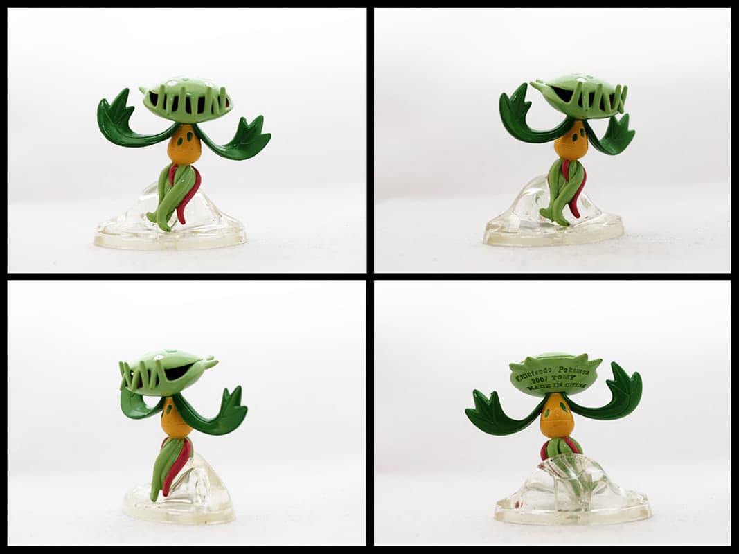 Carnivine Standard