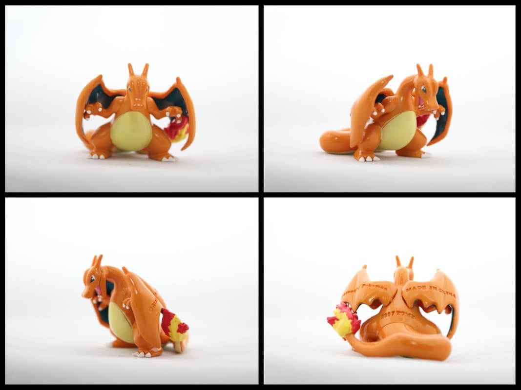 Charizard Alternative Pose
