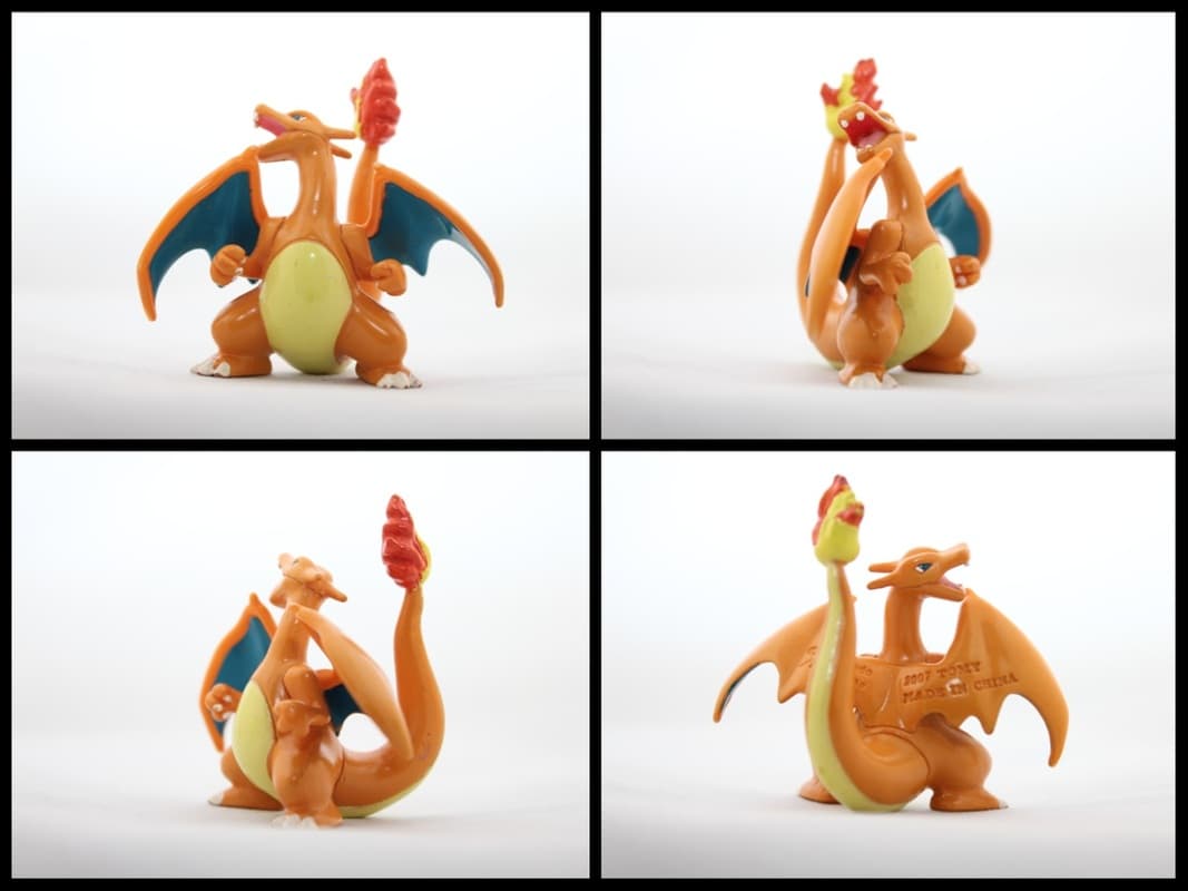 Charizard Battle Pose