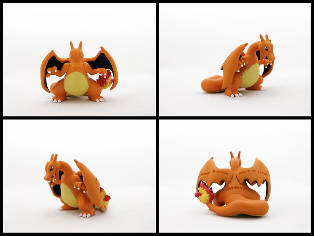 Charizard Matte Alternative Pose