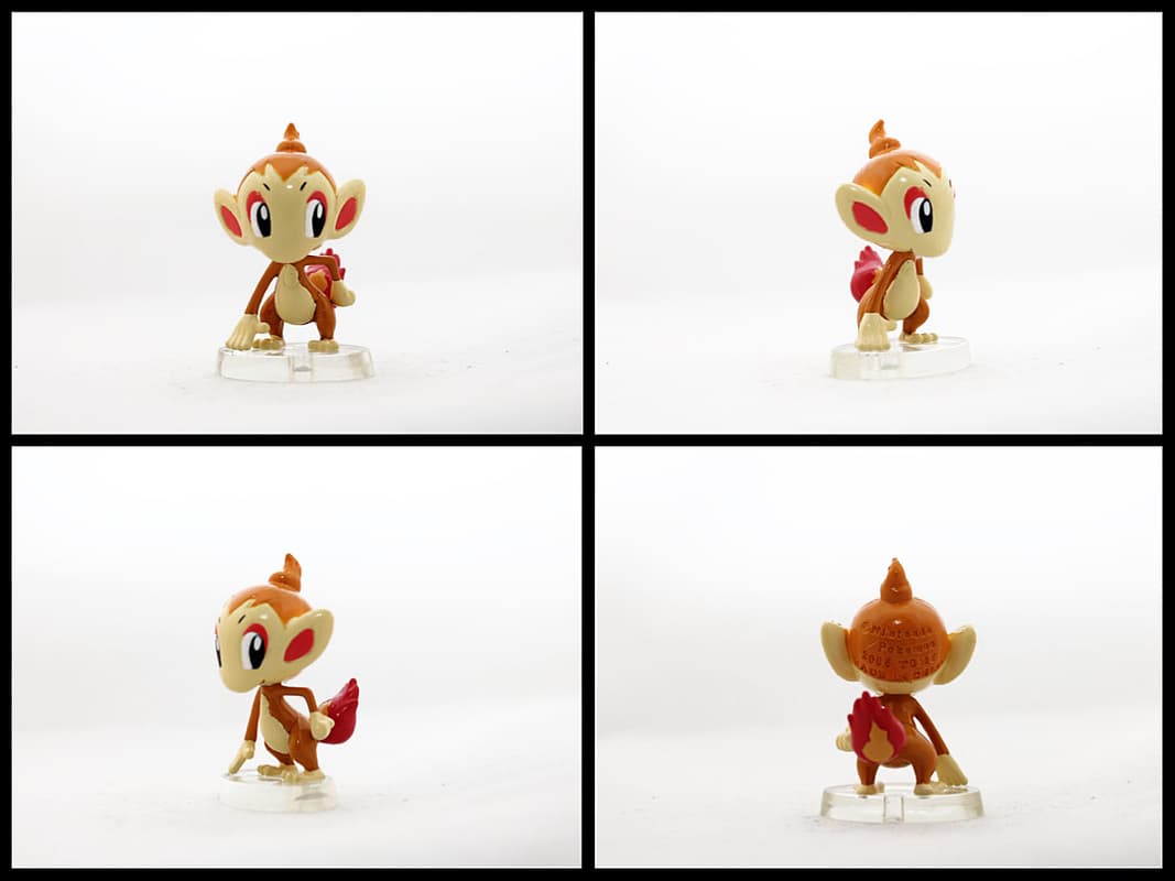 Chimchar Standard